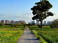 -汉长安城未央宫国家考古遗址公园