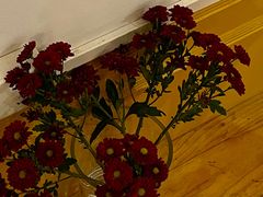 -花满楼(启秀路店)