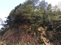 -宁波五龙潭景区