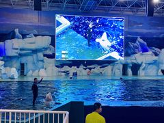 -福州罗源湾海洋世界旅游区