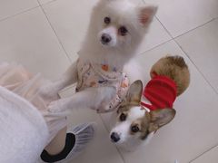 -怪兽屋·羊驼·猫咖·狗咖(俊华广场店)