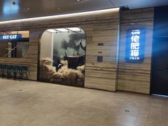门面-佬肥猫·浙江乡村菜(国华广场店)