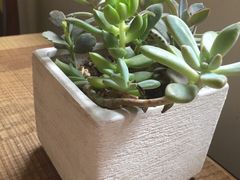 研途咖啡馆-研途咖啡馆(健康路店)