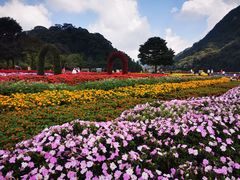 -广州市石门国家森林公园