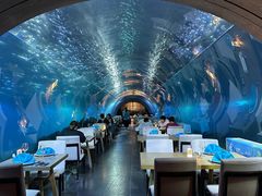 -涛·海底餐厅·美人鱼·自助餐·海底隧道(三亚海棠湾洲际度假酒店)