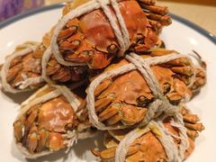 -杨氏青龙虾·羊蝎子(珠江路店)