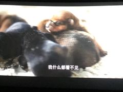 -百丽宫影城(CGS激光苏宁广场店)