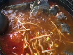 -弘烨 贵州酸汤 鱼火锅(东财店)