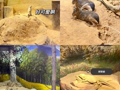 -正佳雨林生态植物园