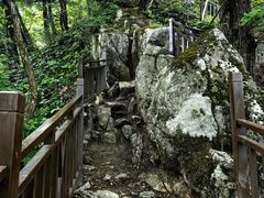 -王顺山国家森林公园