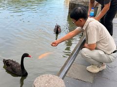 -珠海圆明新园