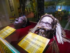 -信不信由你博物馆