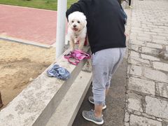 -情侣路