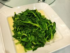 -正兴蜀园(科技园区店)