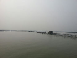 android_upload_pic-维纳斯婚纱摄影(淮海中路店)