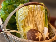 -同仁四季椰子鸡(罗湖国贸店)