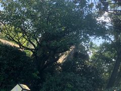 -溧阳天目湖天沐温泉