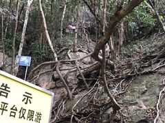 -梧桐山风景名胜区