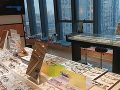-瑞司视光眼镜·蔡司战略合作眼镜店(新街口店)