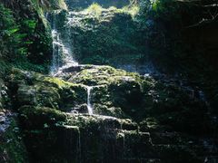 -云南屏边大围山国家公园