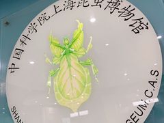 -上海昆虫博物馆