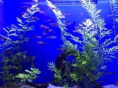 -上海海洋水族馆-停车场