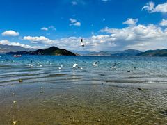 -丽江泸沽湖景区