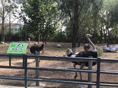 -大连森林动物园