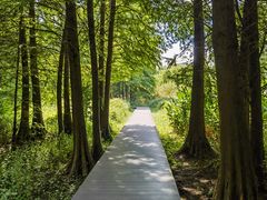 -溱湖国家湿地公园