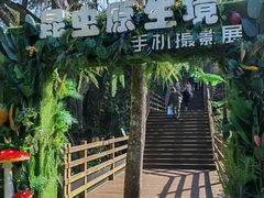-野象谷景区