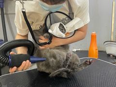 -PETKIT小佩宠物(古北店)