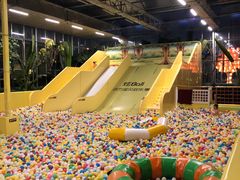 -南宫五洲植物乐园