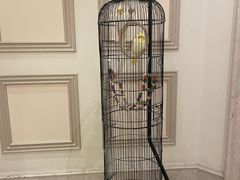 -丽晶美庐·玉兰餐厅