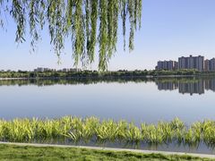 -象湖生态湿地公园