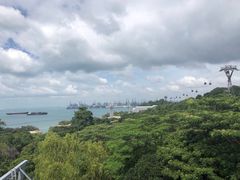-圣淘沙天际线斜坡滑车