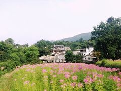 -塔川景区