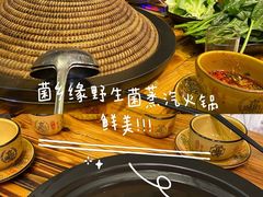 -菌乡缘·野生菌蒸汽鱼火锅(江边夜市店)
