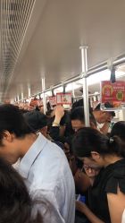 -复旦大学附属妇产科医院(黄浦院区)