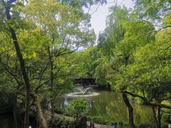 -绮园景区