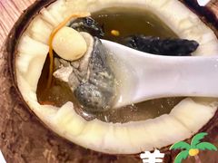 椰子鸡-永記粤菜·五指毛桃花雕鸡煲(九亭店)