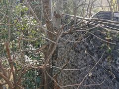 -虞山城墙