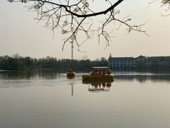 -上海长兴岛郊野公园