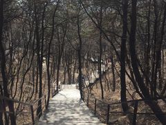 -沂蒙山旅游区云蒙景区(蒙山国家森林公园)