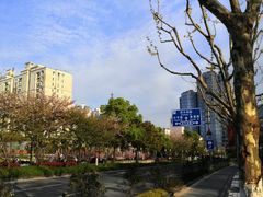 -北外滩滨江绿地