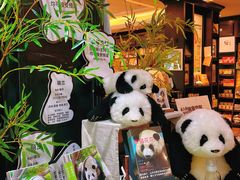 -轩客会(熊猫书店)