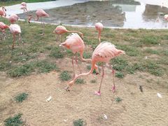-秦皇岛野生动物园