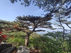 -罗田薄刀峰风景区
