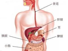 -鹤祥宫·影院足道·SPA连锁(苹果园店)