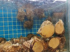 -前王院•巧克力海鲜市集餐厅(万平口店)