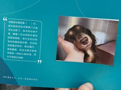 -美联众合动物医院·24h转诊中心